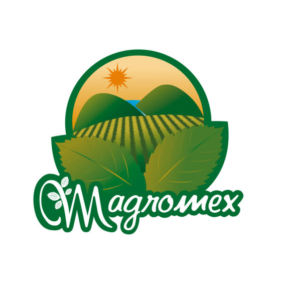 Logo Magromex